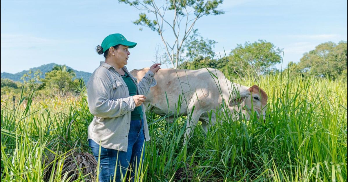 Empoderando a las mujeres del sector lácteo: Dos Pinos rinde homenaje a las mujeres que impulsan la industria láctea de Costa Rica