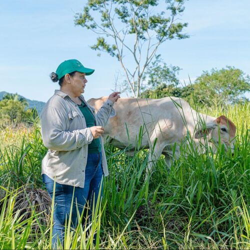 Empoderando a las mujeres del sector lácteo: Dos Pinos rinde homenaje a las mujeres que impulsan la industria láctea de Costa Rica