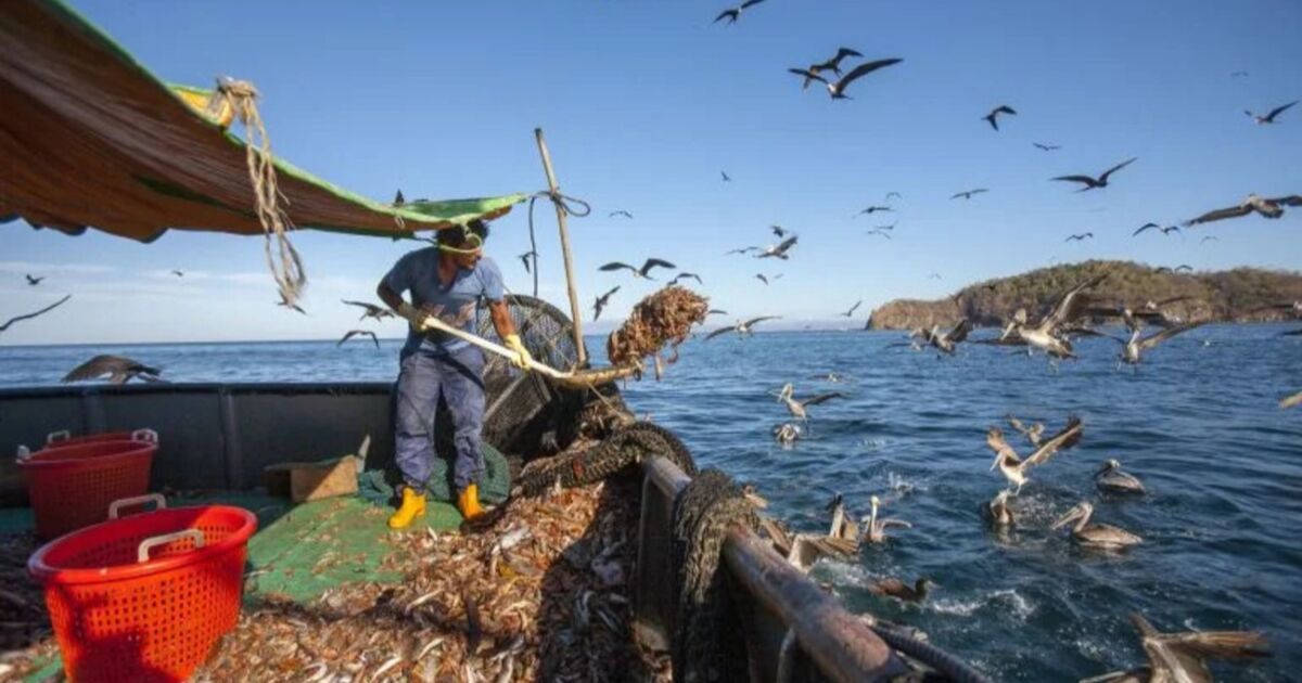 Costa Rica fortalece sistema judicial con tecnología satelital para combatir pesca ilegal