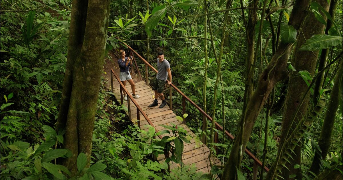 La búsqueda de la Costa Rica invisible: el viaje de quien ya no quiere ser turista