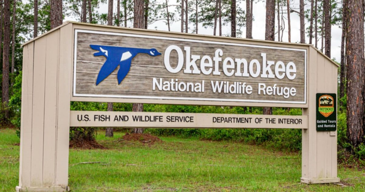 Empresa minera no puede aprovechar el agua necesaria para el refugio de vida silvestre de Okefenokee
