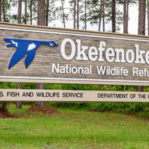 Empresa minera no puede aprovechar el agua necesaria para el refugio de vida silvestre de Okefenokee