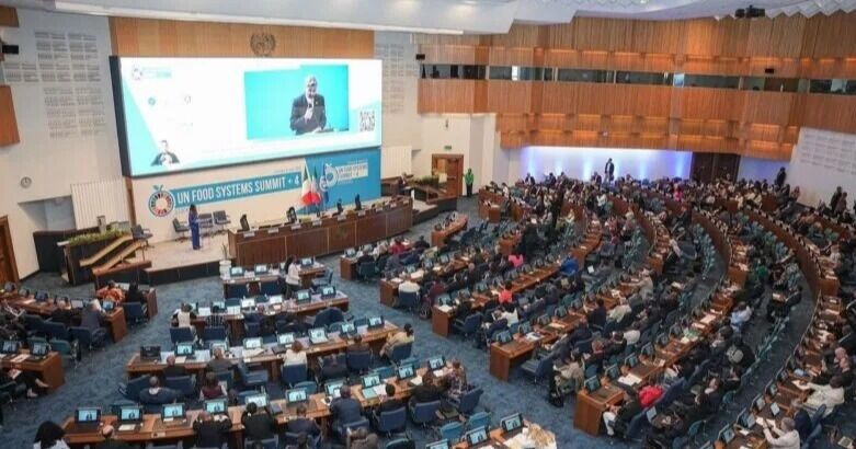 Organismo de Naciones Unidas reconoce liderazgo de Guatemala en Programa de Alimentación Escolar
