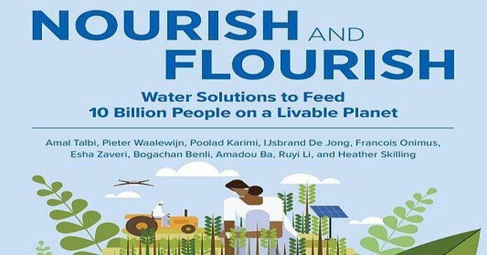 Un uso más inteligente del agua podría alimentar a 10 mil millones de personas y crear casi 250 millones de empleos
