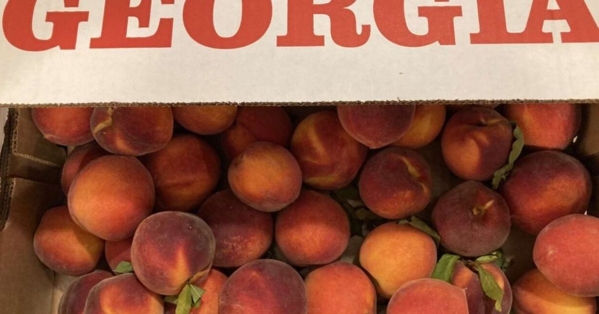 Agricultores de Georgia complacidos  con una expectante y buena temporada de melocotones