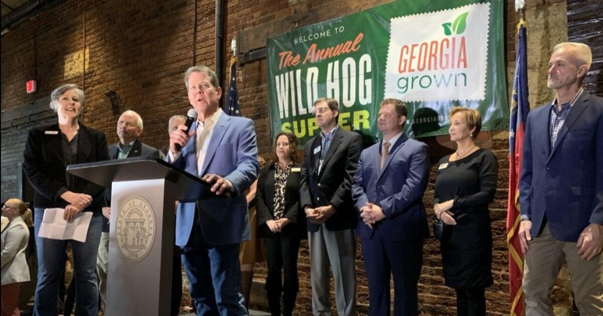 Wild Hog y las reuniones informativas sobre políticas legislativas preparan el terreno para los debates sobre el Gold Dome de Georgia en 2025