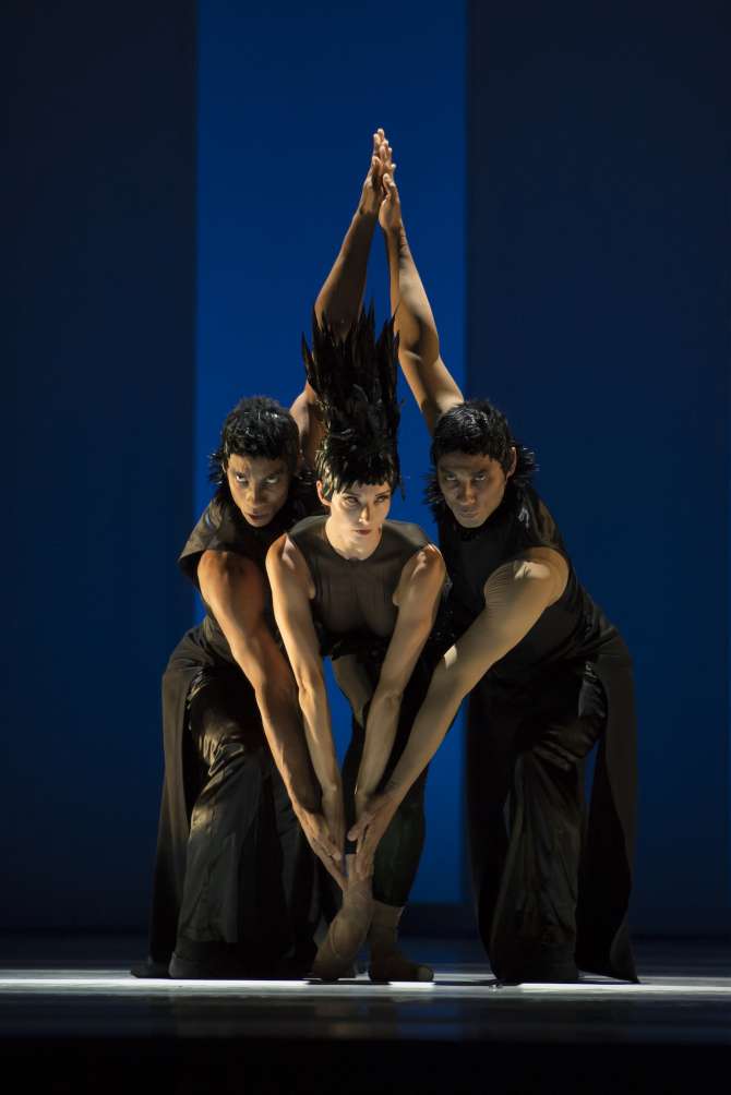 Consulado del Principado de Mónaco presentará “Les Ballets de Monte Carlo” con su obra “LAC” basado en el Lago de los Cisnes