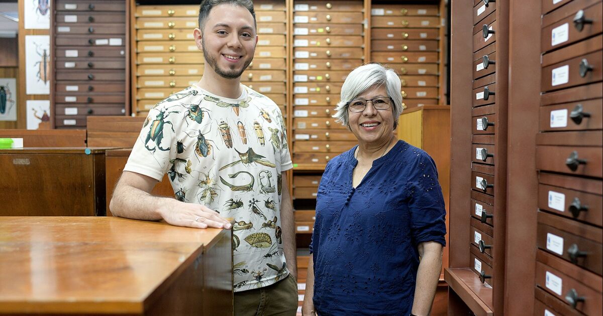 Tras 33 años de espera, 16 nuevas especies de insectos son descubiertas en Costa Rica