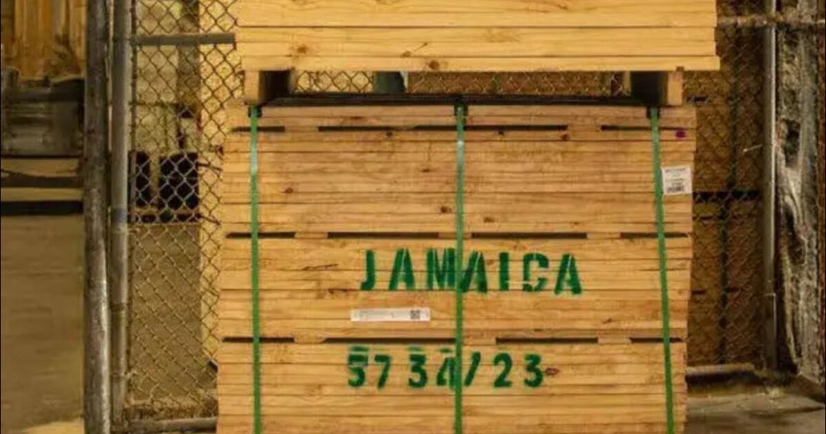 Woodcats contempla su expansión en el Caribe oriental