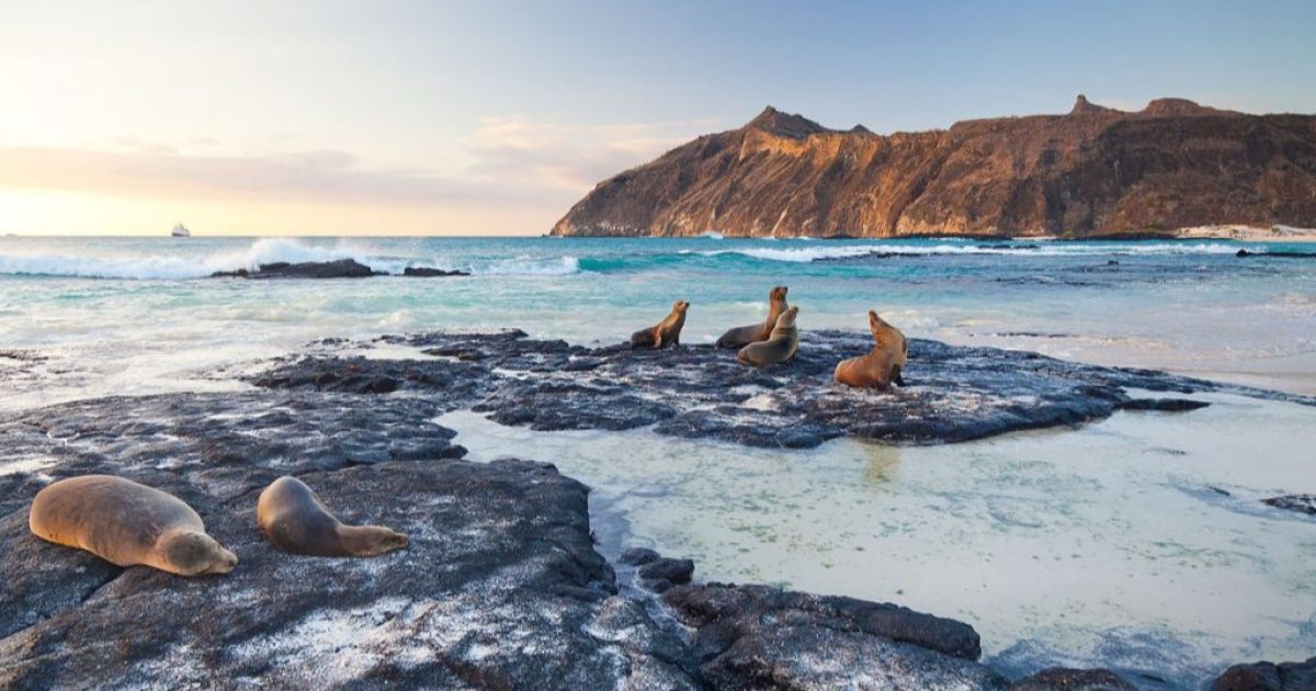 Islas Galápagos reciben el barco que recrea la vuelta al mundo de Darwin