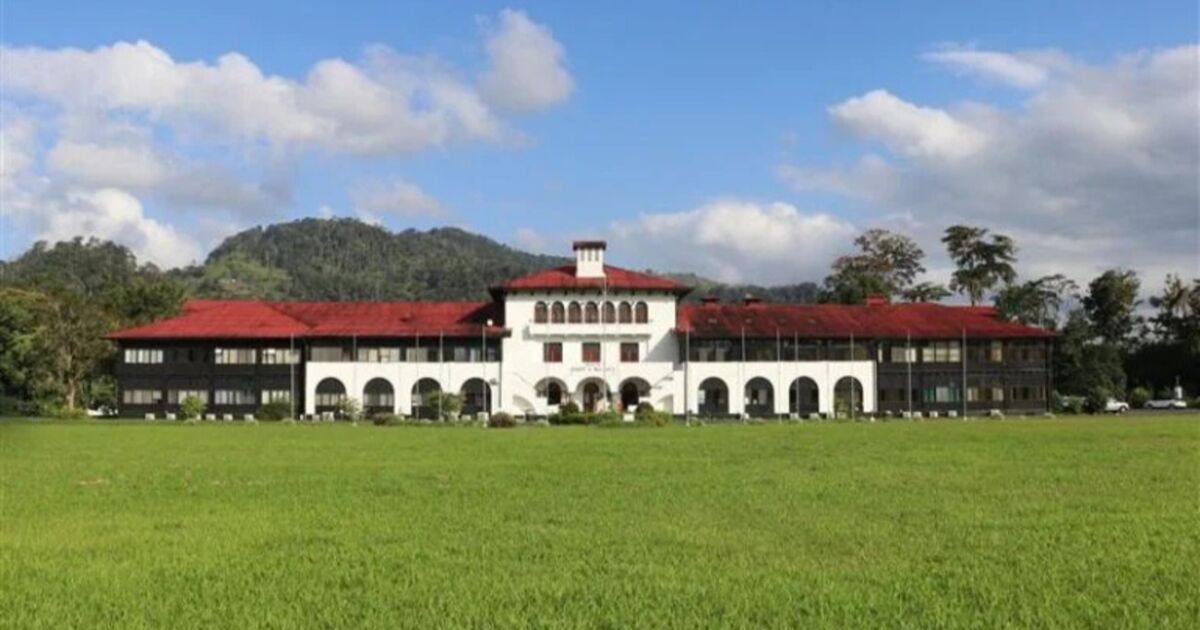 Costa Rica será sede del Congreso Internacional de Cacao 2025, el encuentro más dulce y sostenible de América Latina