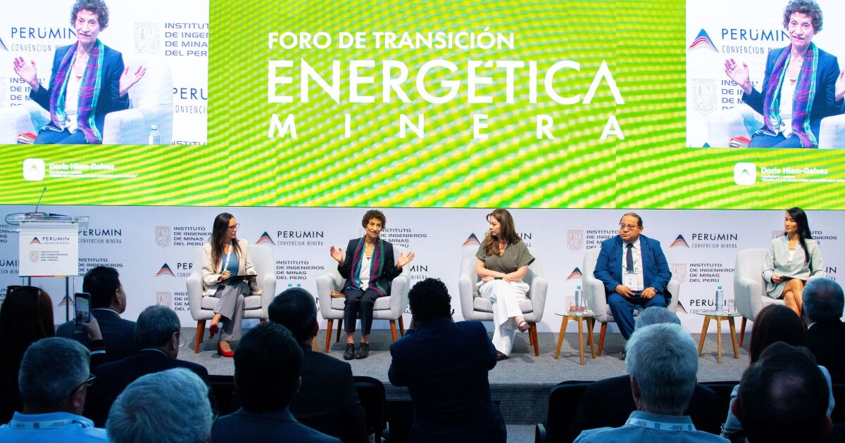 Expertos proponen la creación de un estándar minero para garantizar sostenibilidad a escala mundial
