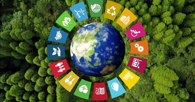 Con foco en sostenibilidad y economía circular se celebrará el Summit de Innovación 2026 en Envases
