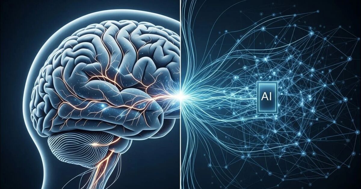 Así funciona el “cerebro digital” del MIT que aprende, se equivoca y podría transformar la investigación de enfermedades neurológicas