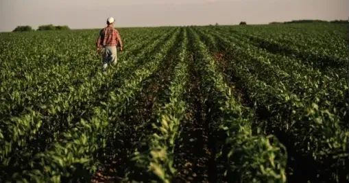 Empresas de EE.UU. realizan reclamo para impulsar el agro