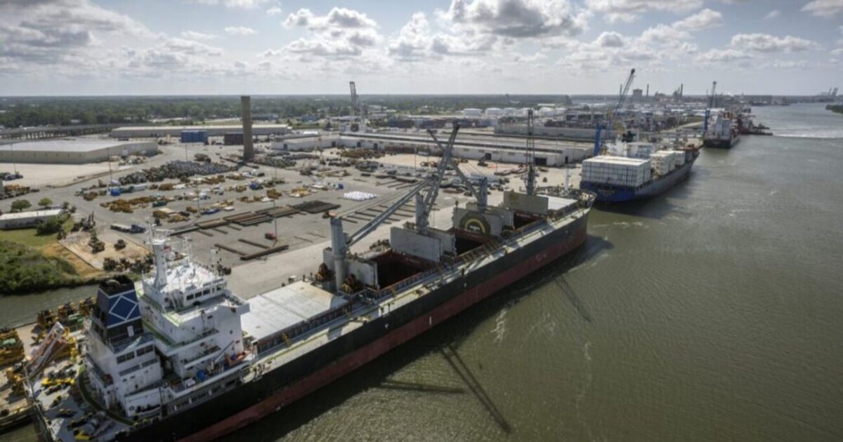 La terminal oceánica del puerto de Savannah recibe cuatro nuevas grúas eléctricas de barco a tierra