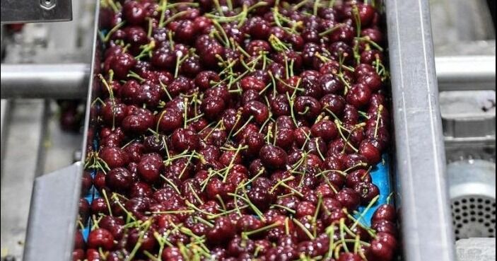 Chile arranca 2026 con intercambio comercial récord impulsado por exportaciones de cobre y cerezas