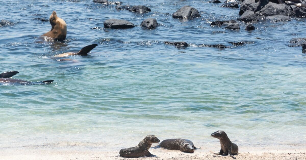 El agua en Galápagos: más valiosa de lo que imaginas