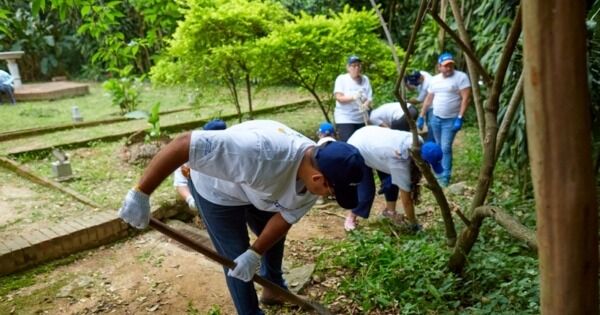 Mercantil conmemora el Día Mundial del Ambiente con acciones sostenibles de alto impacto