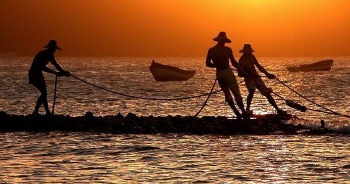 Crean fondo rotatorio para fortalecer la pesca artesanal en Barcelona