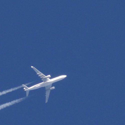IATA lanza IATA Connect: Un nuevo punto neurálgico para la seguridad aérea y el cumplimiento de la normativa