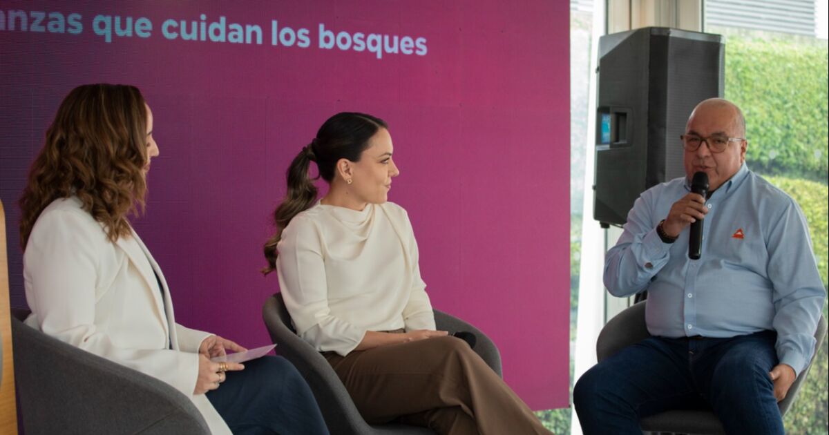 “Más allá del papel: Finanzas que cuidan los bosques” sinergias entre el sector financiero y Aglomerados Cotopaxi