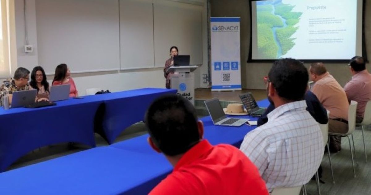 Senacyt y Fundación Ciudad del Saber lideran proyecto pionero para salvaguardar los manglares de Panamá
