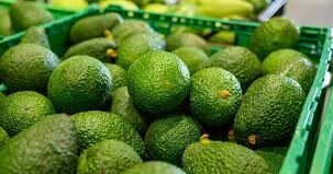Colombia verde