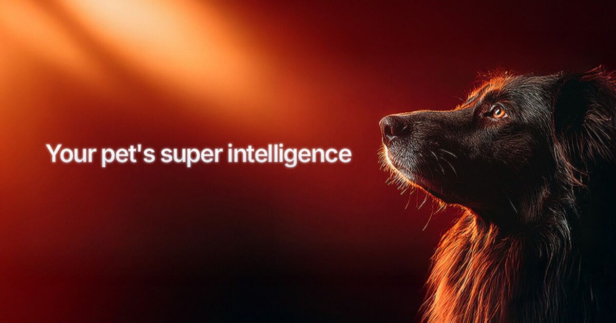 Pluto Pets lanza la primera plataforma de longevidad para mascotas impulsada por IA: el copiloto de salud 24/7 de tu perro