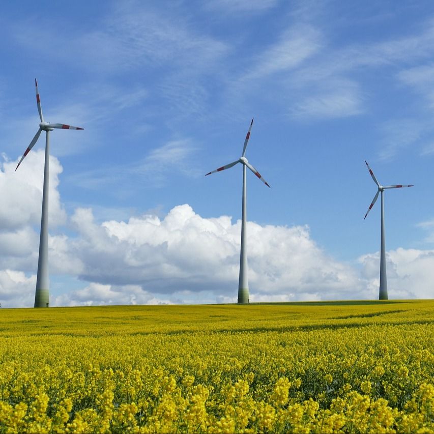 Comisión  Federal Reguladora de Energía aprueban nuevas reglas para aliviar los retrasos en las conexiones eléctricas