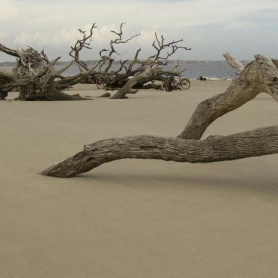 Islas Doradas de Georgia: el eterno encanto de Jekyll Island