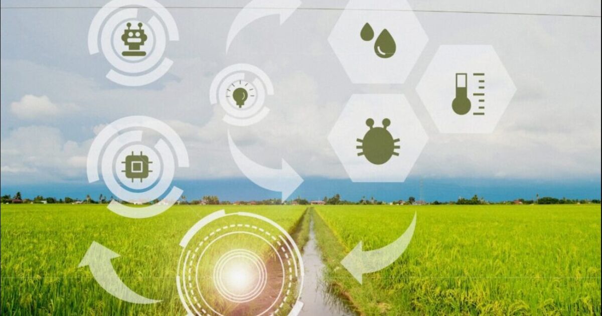 AgriTech & AI Innovation Expo:  RICE, ASU y sus socios llevan la fabricación y la agricultura impulsadas por inteligencia artificial al suroeste de Georgia