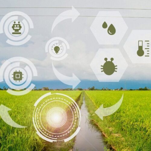 AgriTech & AI Innovation Expo:  RICE, ASU y sus socios llevan la fabricación y la agricultura impulsadas por inteligencia artificial al suroeste de Georgia