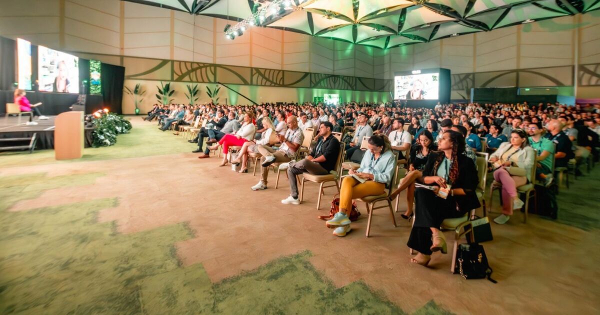 REDFi presenta Blockchain Jungle 2025: la conferencia de criptomonedas más grande de Latinoamérica regresa a Costa Rica