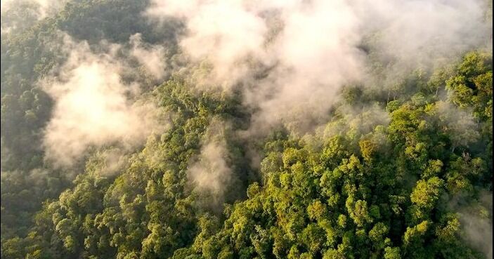 Chile frente al cambio climático: desafíos urgentes y soluciones sostenibles