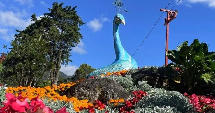 Más de 39 Ferias Nacionales se realizarán en 2026