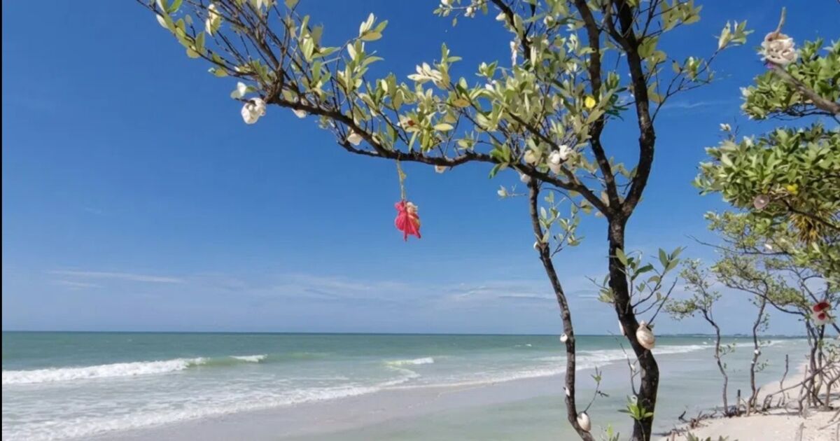 Florida conquista tres puestos en el Top 10 de las mejores playas de EE.UU.