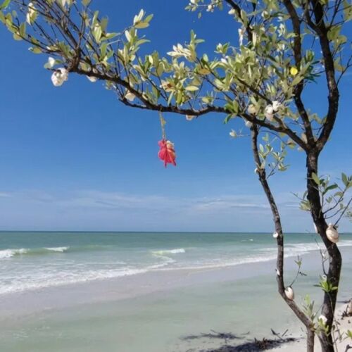 Florida conquista tres puestos en el Top 10 de las mejores playas de EE.UU.