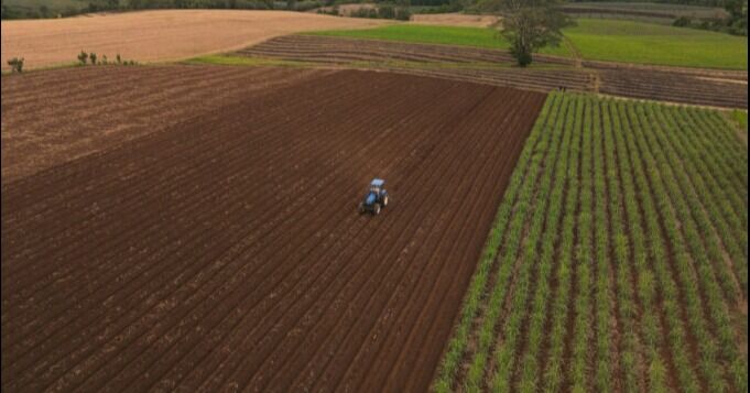 Más de 6.000 productores hacen posible el azúcar que llega a los hogares costarricenses