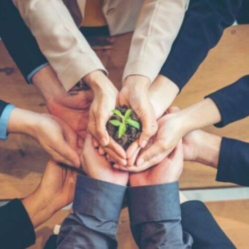 ¿Cómo la IA generativa está ayudando a que las empresas sean más sostenibles?