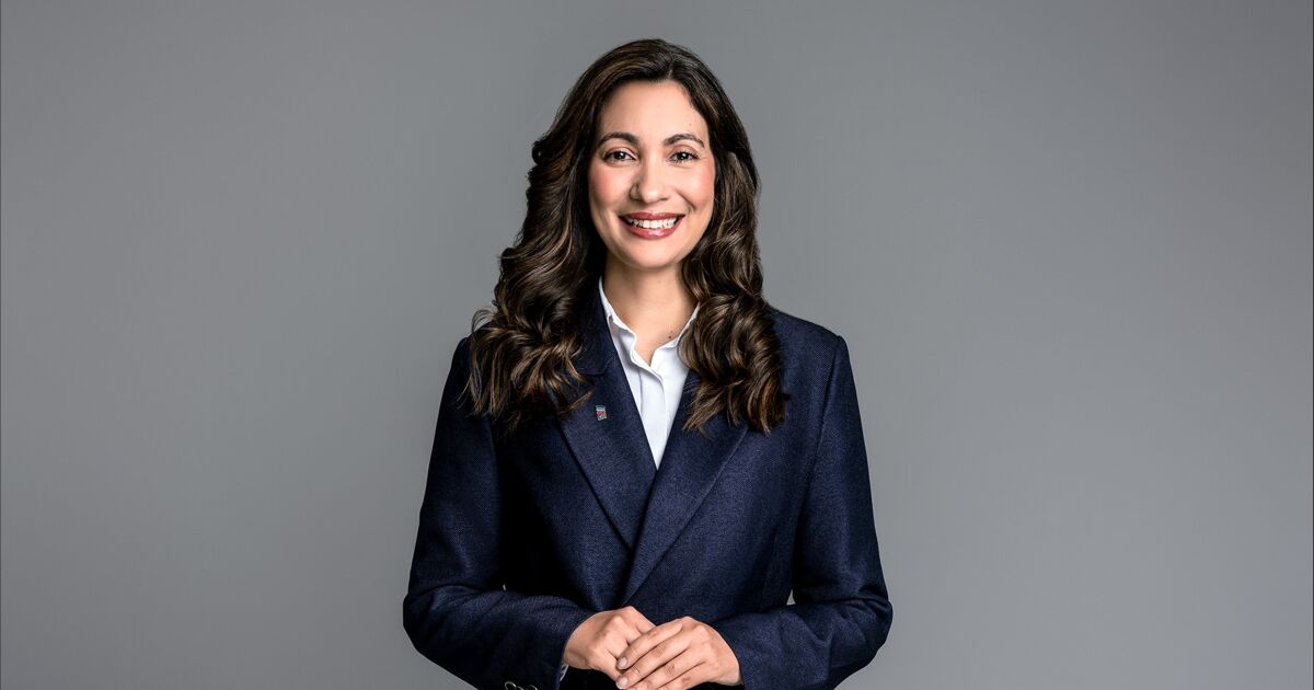 Lourdes María Frías - Gerente de Relaciones Interinstitucionales y Mercado