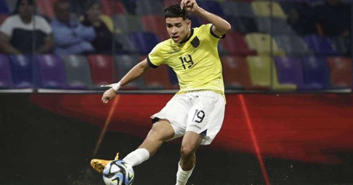 La selección de Ecuador buscará en 2025 sellar su quinta clasificación a un Mundial