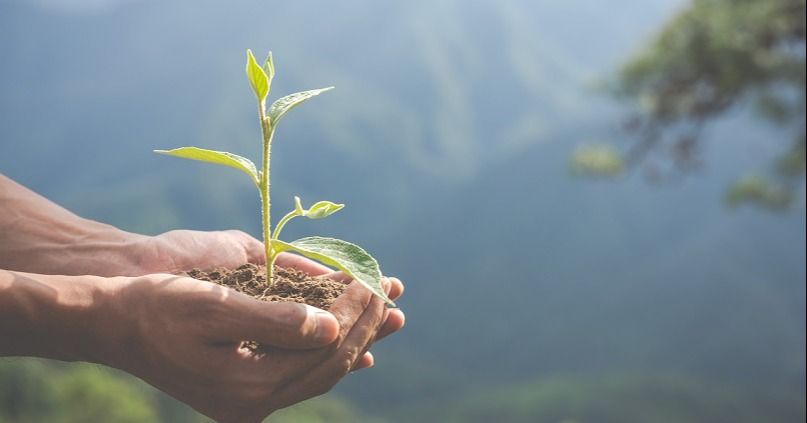 Continental Tire Andina invierte importantes recursos en la reducción de CO2