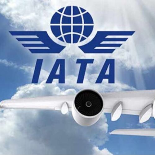 IATA señala prioridades para mejorar la asistencia en tierra en la aviación global