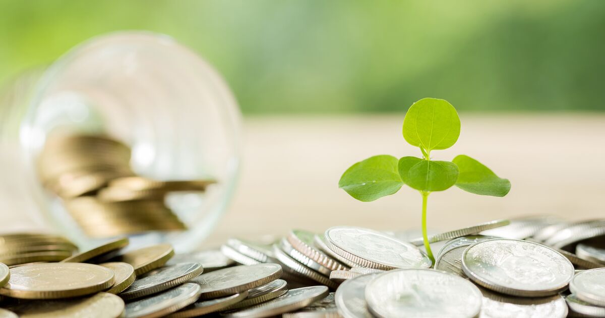 Finanzas verde al alza: inversionistas aumentan su interés por bonos amigables con el medio ambiente