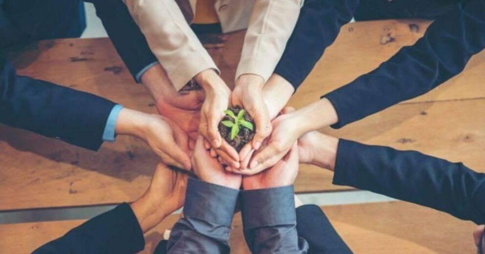 Capitalismo consciente: por qué las empresas sostenibles son más rentables
