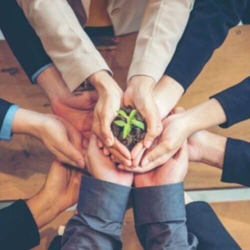 Capitalismo consciente: por qué las empresas sostenibles son más rentables