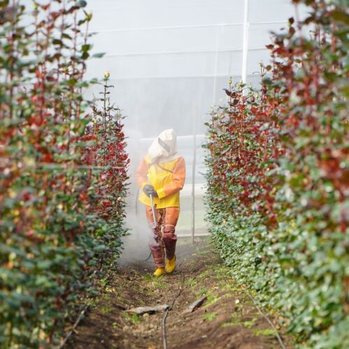 Proteger al agricultor: una urgencia que se siente en la piel del campo ecuatoriano