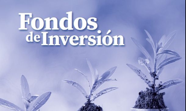 Los Fondos de inversión, opciones atractivas para el inversionista dominicano