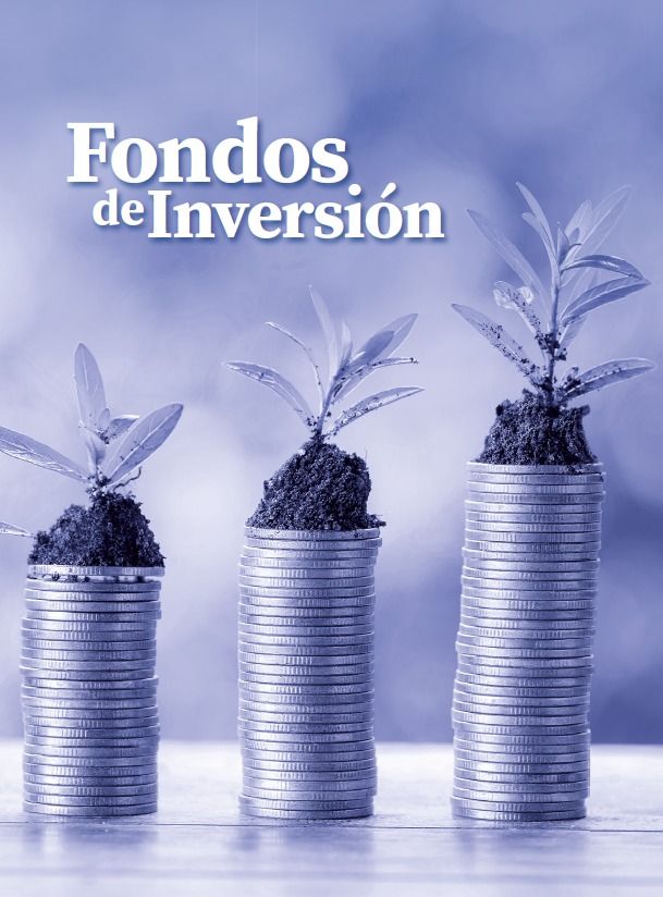 Los Fondos de inversión, opciones atractivas para el inversionista dominicano